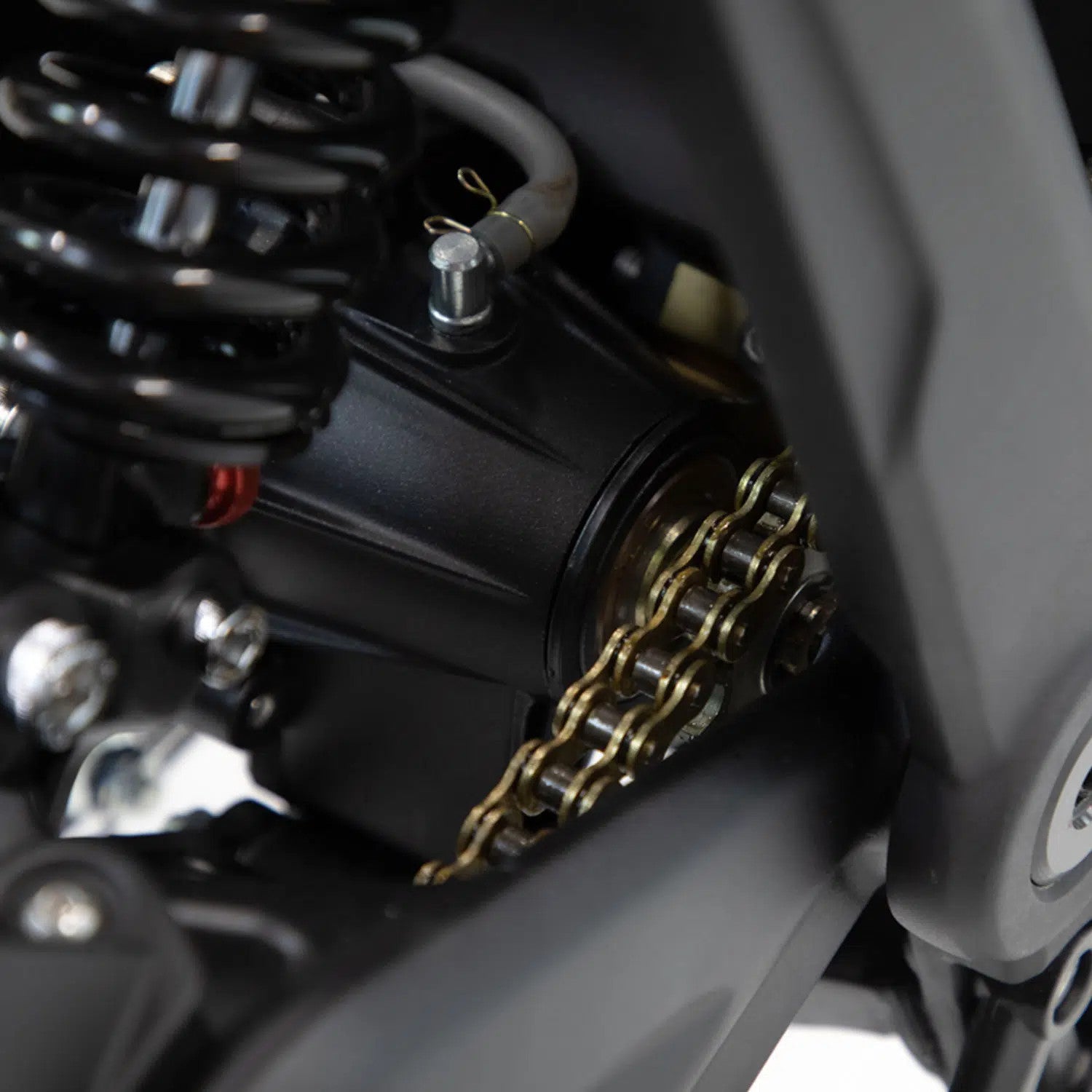 Pignon de transmission secondaire 14T-420 WARP9 - ELEC SUPER BIKE Pignon de transmission secondaire 14T-420 WARP9 - ELEC SUPER BIKE