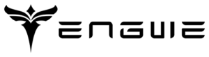 Logo Engwe